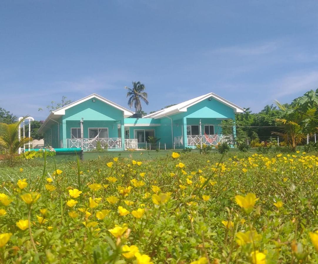 Blue Lizard House Villa San Andres  Bagian luar foto