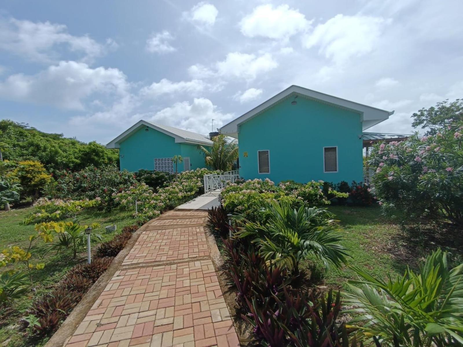 Blue Lizard House Villa San Andres  Bagian luar foto